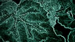 初音未来 - 地獄の舞