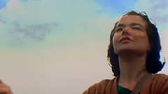 Björk - I've Seen It All