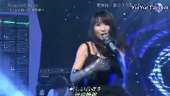 Preserved Roses