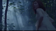 Blossom 预告版