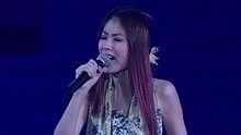 陈慧琳 - 陈慧琳《对你太在乎》 演唱会版