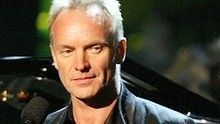 Sting - Fragile 官方版（废）