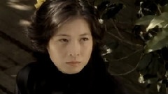 花季未了