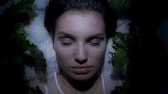 PJ Harvey - Broken Homes