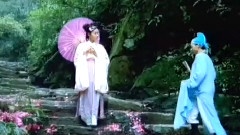 梦入桃花园