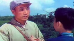 影视原声 - 映山红
