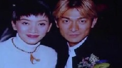 梅艳芳 - BTV档案