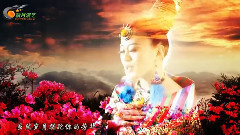 梦中的雪连花