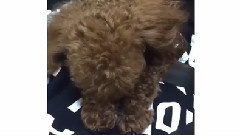 少女时代 - 金孝渊Instagram 更新Cut