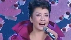 飞雪迎春