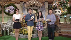 SBS TV动物农场