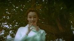 东方魅力