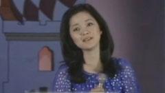 邓丽君 - 你装作不知道