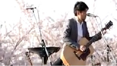 桜 饭拍版